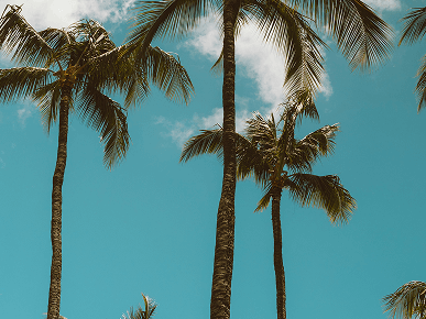 Sol Pilates - Image 4